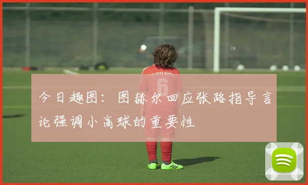 今日趣图：图赫尔回应张路指导言论强调小高球的重要性