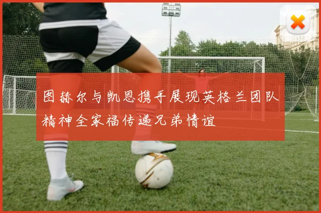 图赫尔与凯恩携手展现英格兰团队精神全家福传递兄弟情谊